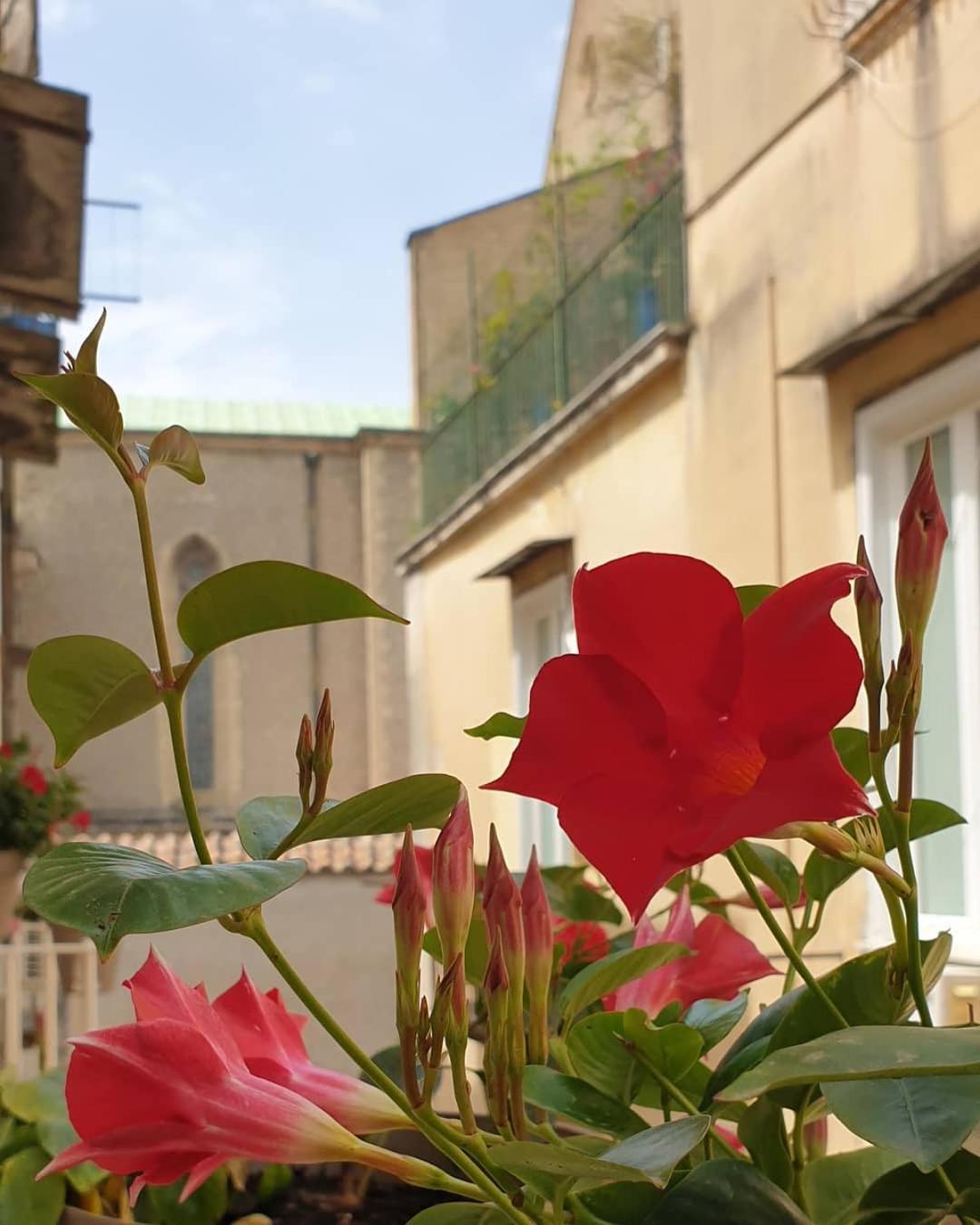 Santa Chiara Bed & Breakfast
