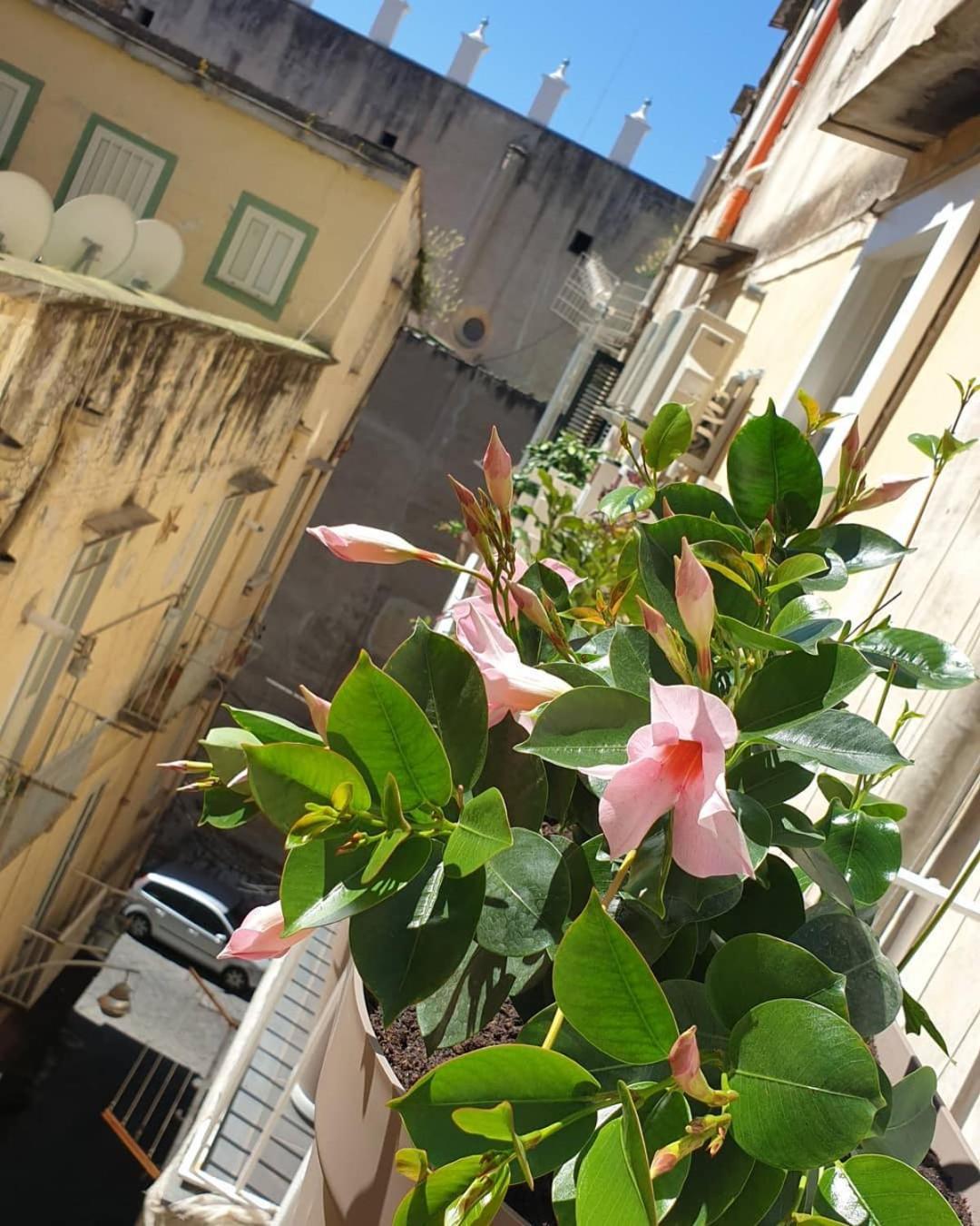 Santa Chiara 4* Naples